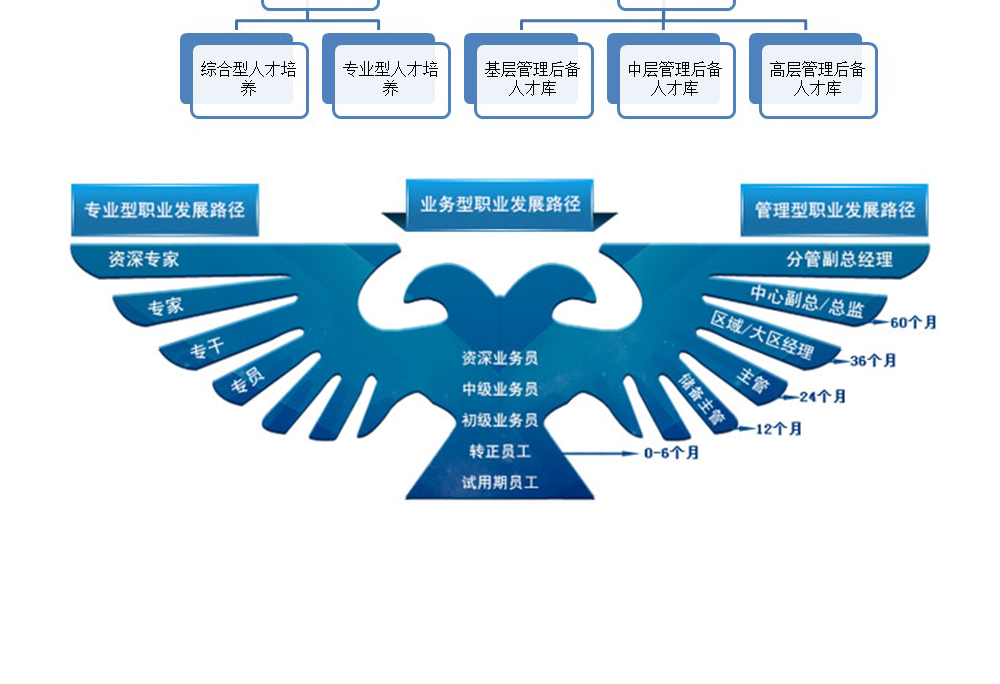 人才招聘